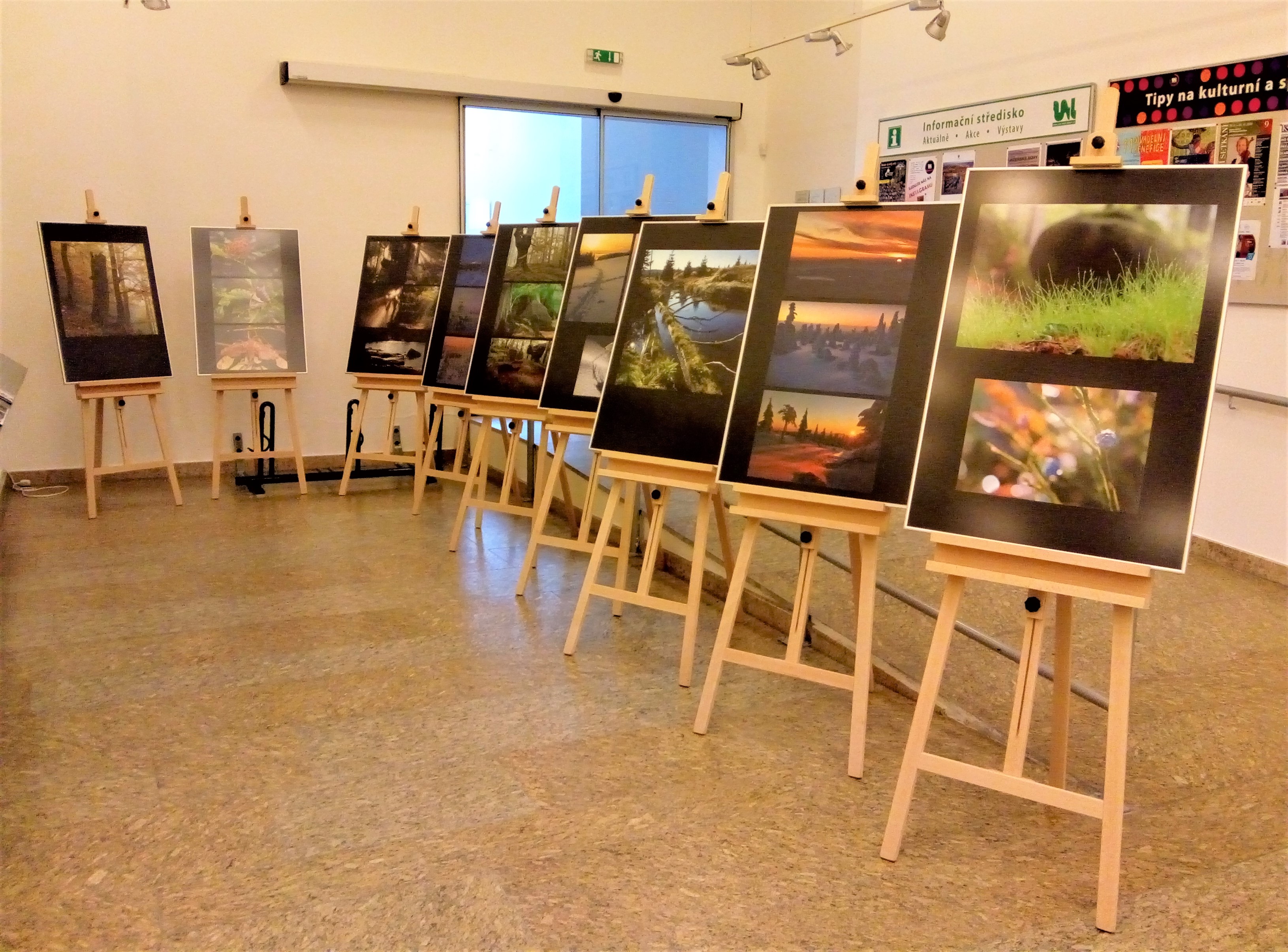 Ukázka výstavy na galerii březen 2020