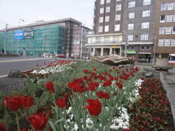 20180426 labe | WebJET CMS