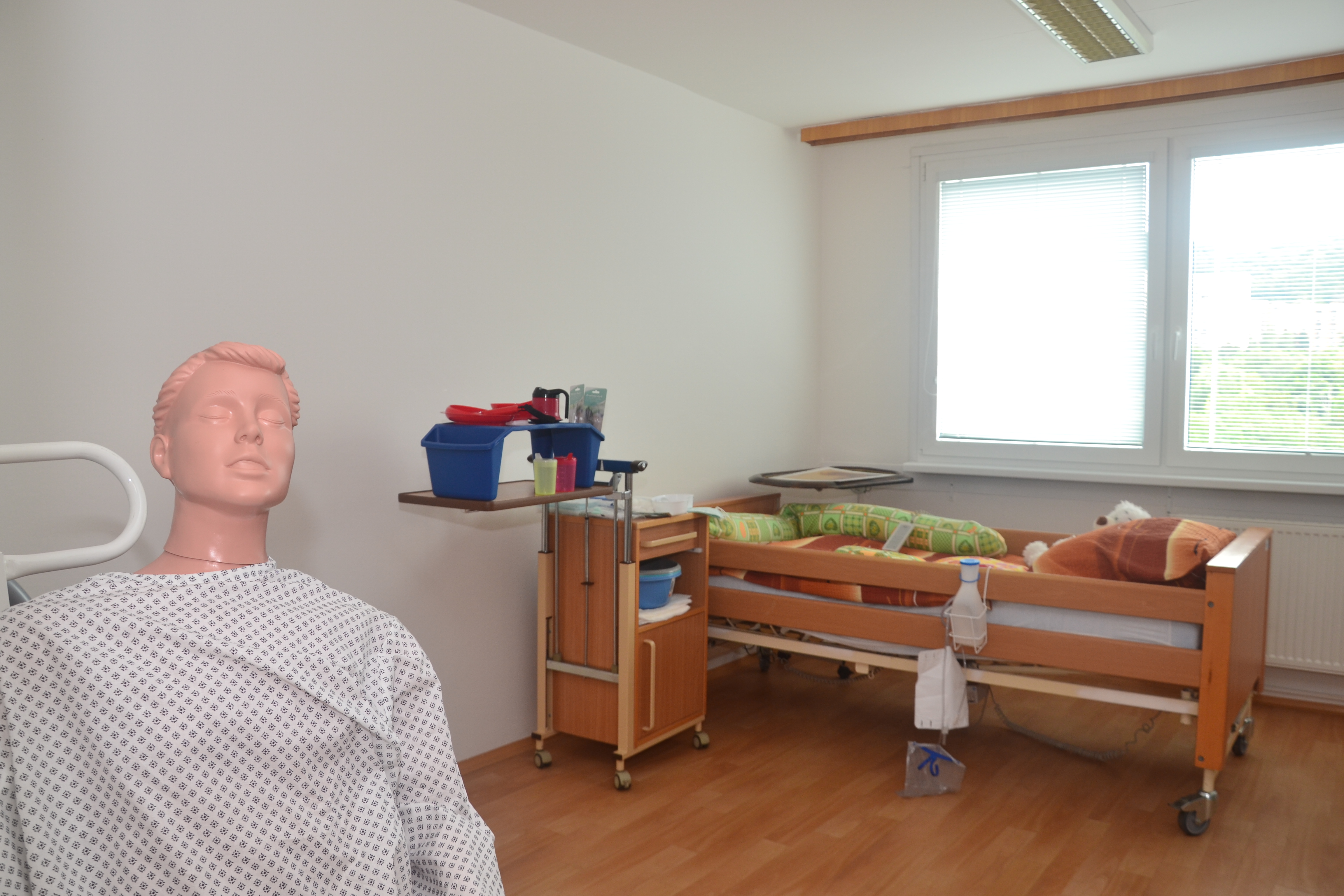 Pokoj v pečovatelské službě