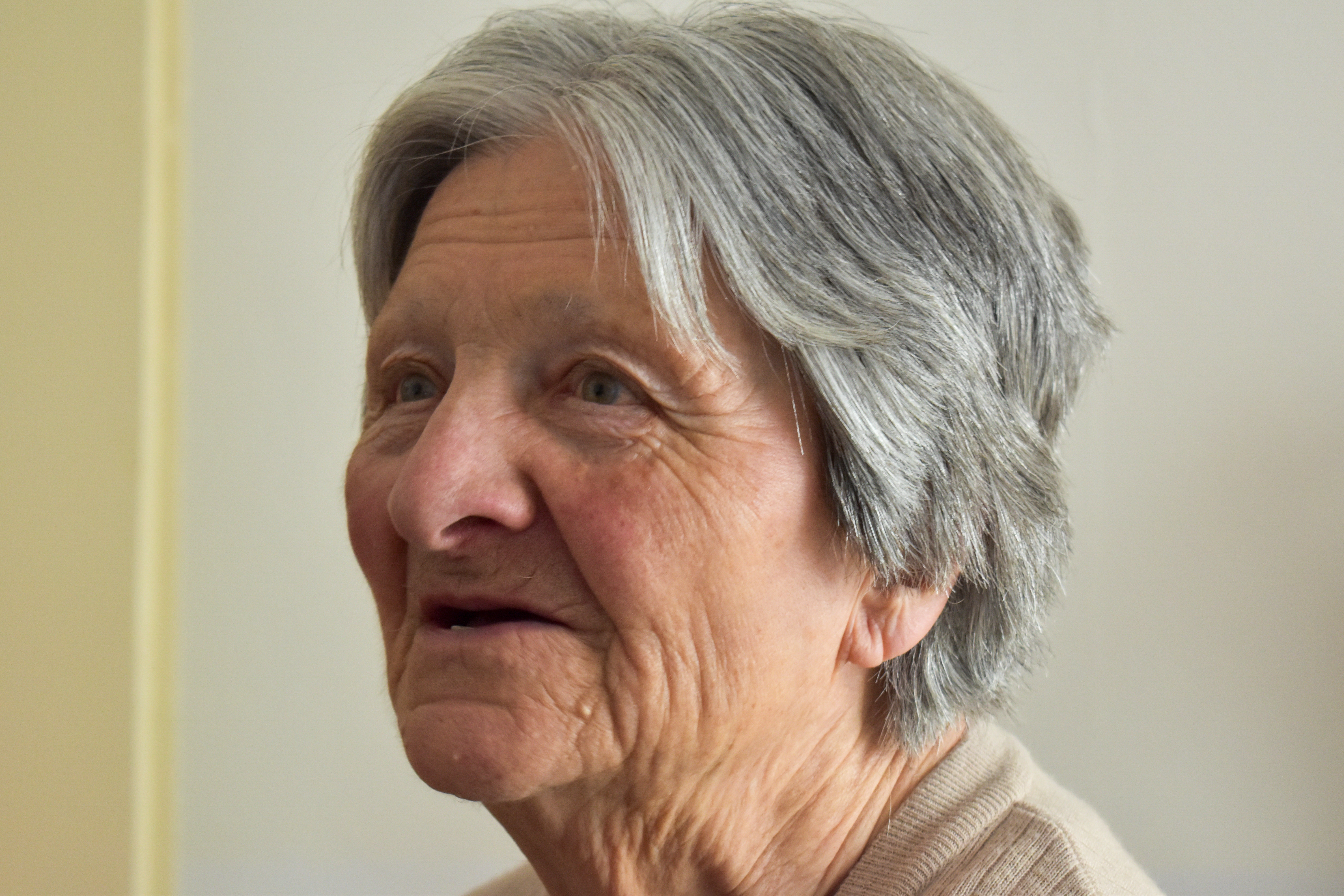 paní Božena Linková 