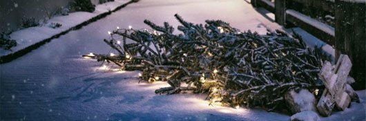 Svoz vánočních stromků