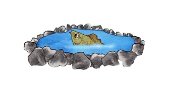 17 8 20 aktualita 3 | WebJET CMS