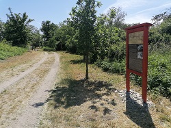 foto z akce