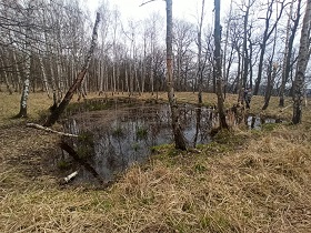 foto z akce