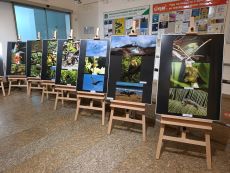 Ukázka výstavy na galerii 3, březen 2020