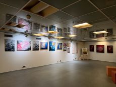 Ukázka výstavy na galerii březen 2020