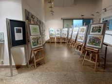Ukázka výstavy na galerii březen 2020