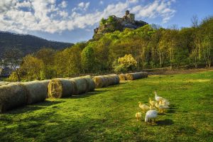 pod hradem | WebJET CMS