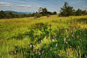 horske louky web | WebJET CMS