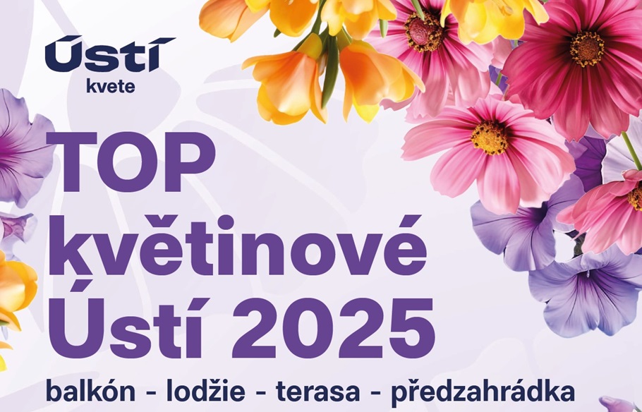 plakát