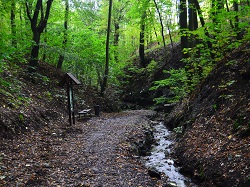 ns bertino udoli 3a | WebJET CMS