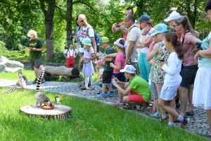 dsc 5990 | WebJET CMS