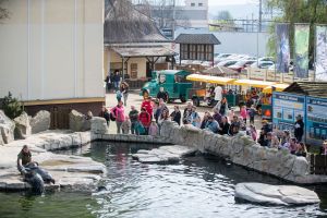 komentovane krmeni tulenu | WebJET CMS