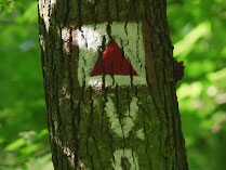 Průčelskou roklí na Vysoký ostrý