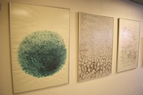 Ukázka výstavy na galerii prosinec 2019