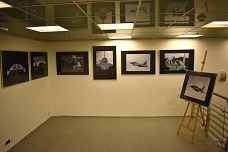 Ukázka výstavy na galerii květen 2019