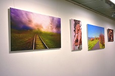Ukázka výstavy na galerii 3, srpen2019