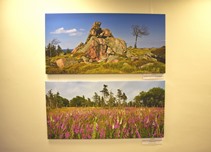 Ukázka výstavy na galerii 2, září 2019