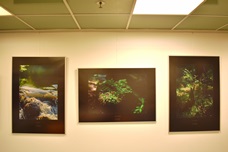 Ukázka výstavy na galerii 3, září 2019
